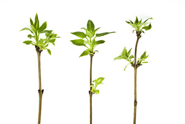 Similar image 310878