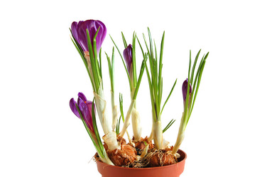 Similar image 310880