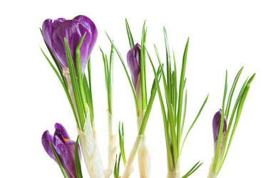 Similar image 310881