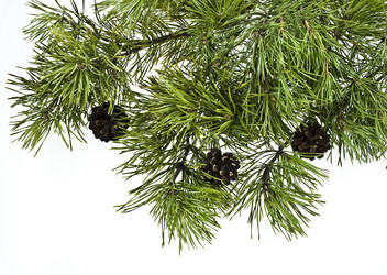 Similar image 310898