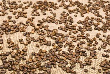 Similar image 310900