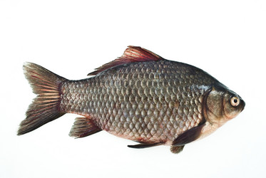 Similar image 310923