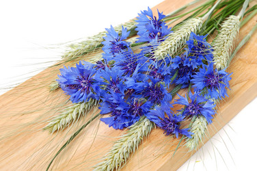 Similar image 310931