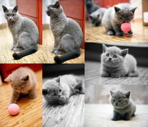 Similar image 310937