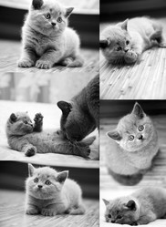 Similar image 310938