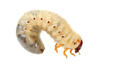 Similar image 310958