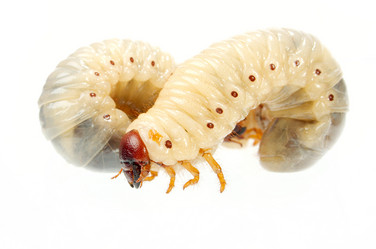 Similar image 310959