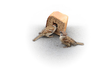 Similar image 310986