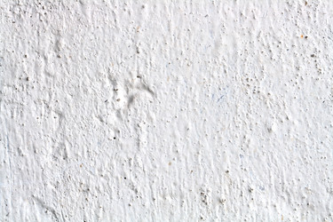 Similar image 311021