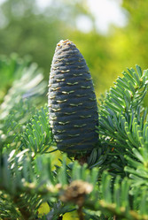 Similar image 311033