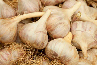 Similar image 311034