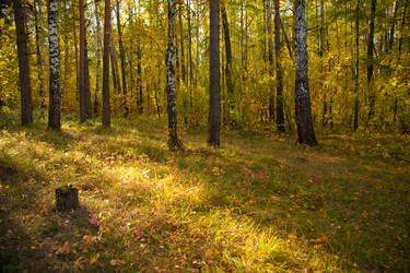 Similar image 311039