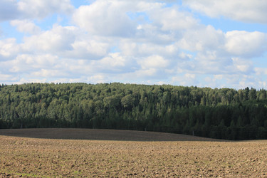 Similar image 311041