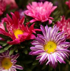 Similar image 311057