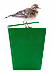 Similar image 311059