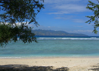 Similar image 311062