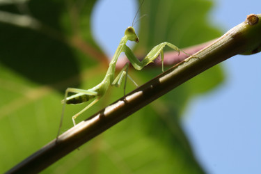 Similar image 311075