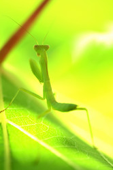 Similar image 311076