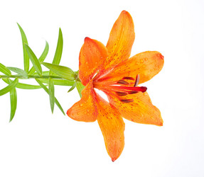 Similar image 311078