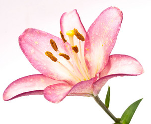 Similar image 311079