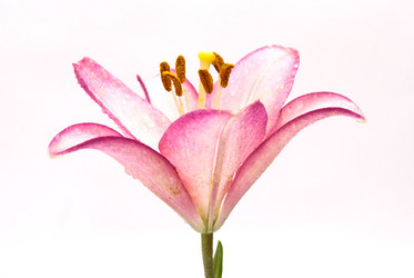 Similar image 311080