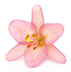 Similar image 311083