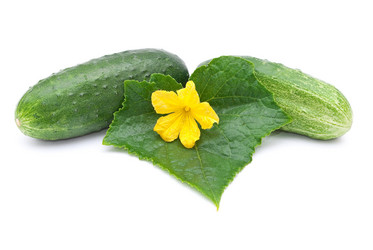 Similar image 311089