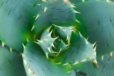 Similar image 311091