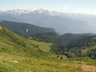 Similar image 311097