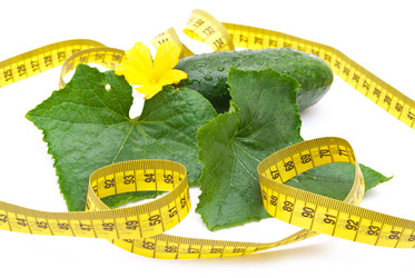 Similar image 311106