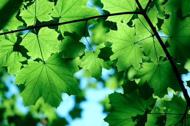 Similar image 311117