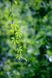 Similar image 311119