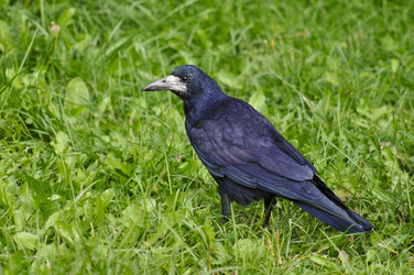 Similar image 311128