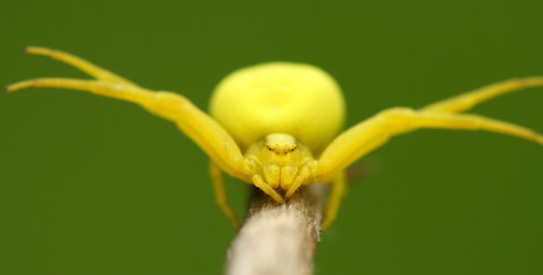 Similar image 311136