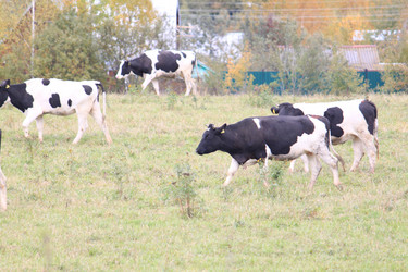 Similar image 311140