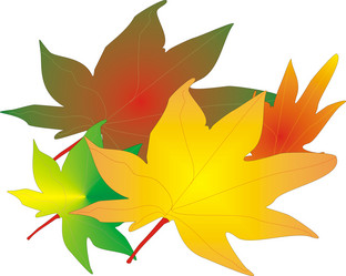 Similar image 311162