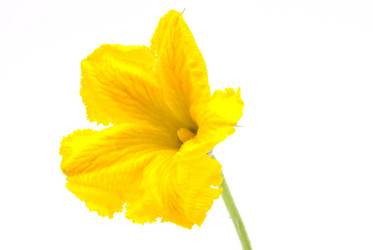 Similar image 311171