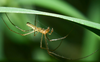 Similar image 311175