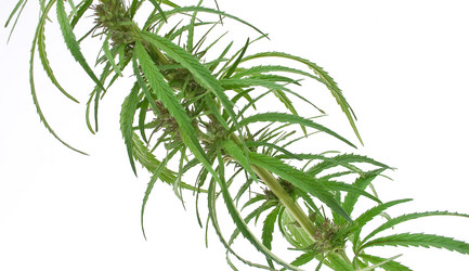 Similar image 311196