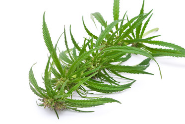 Similar image 311197