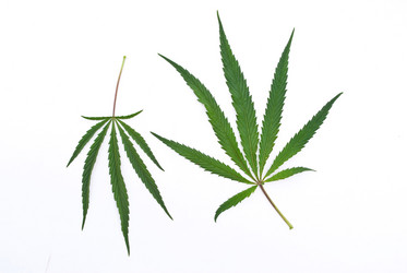 Similar image 311207