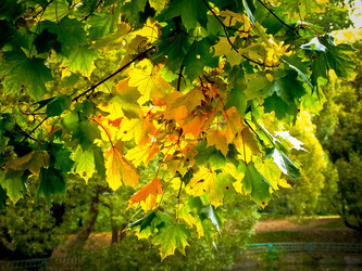 Similar image 311277