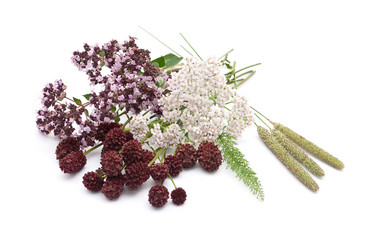 Similar image 311278