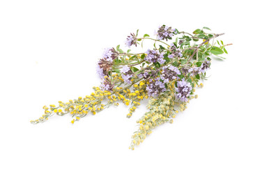 Similar image 311288