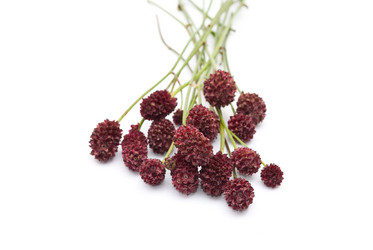 Similar image 311305