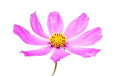 Similar image 311313