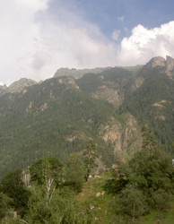 Similar image 311344