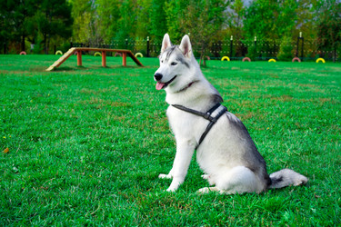 Similar image 311348