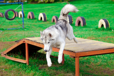 Similar image 311350