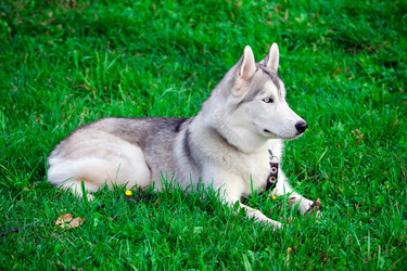 Similar image 311351